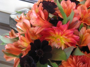Seasonal Orange Flowers and Chocolate Cosmos